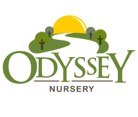 Odyssey Nursery
